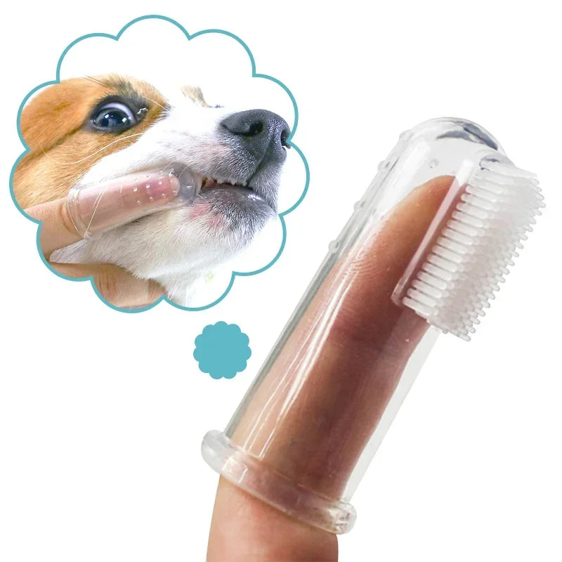 Oral Hygiene