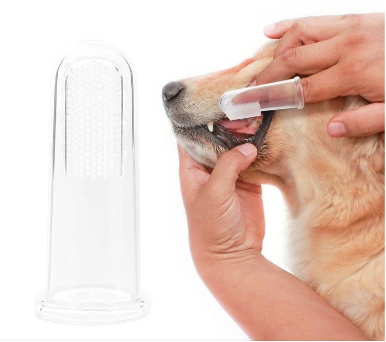 Oral Hygiene