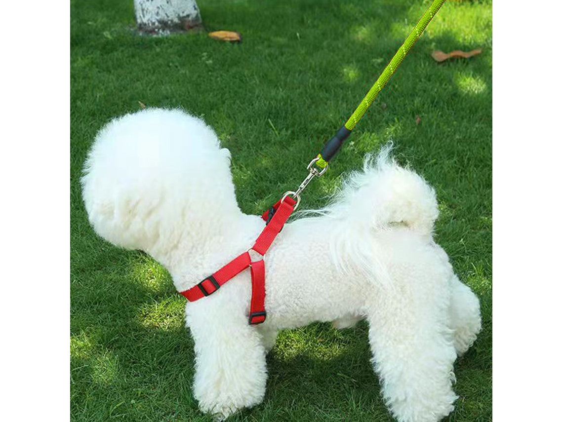 Dog Guide