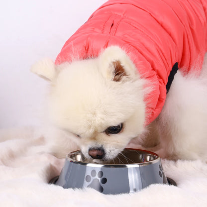 Cuenco de acero inoxidable para perros